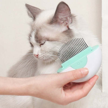 Pet Dual Purpose Long Hair Comb Dual Function Cat Massage Comb to Remove Floating Hair(Mint Green)-garmade.com