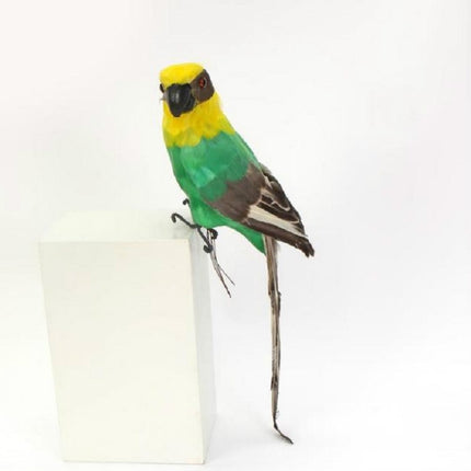 45CM Simulation Parrot Simulation Bird Macaw Foam Feather Parrot Sen Gardening Decoration, Color:Light Green-garmade.com