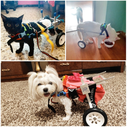 Pet Wheelchair Disabled Dog Old Dog Cat Assisted Walk Car Hind Leg Exercise Car For Dog/Cat Care, Size:XXXS-garmade.com