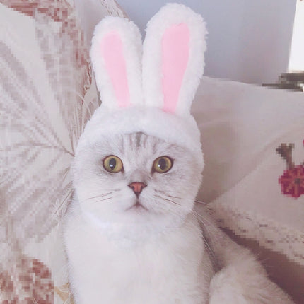 Lovely Rabbit Ear Cat Pet Headgear Headwear, Size: One size-garmade.com