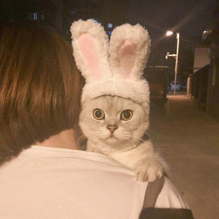 Lovely Rabbit Ear Cat Pet Headgear Headwear, Size: One size-garmade.com