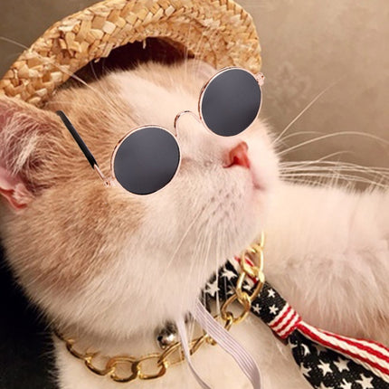 Fashion Cool Funny Pet Accessories Sunglasses Vintage Straw Hat Dog Gold Necklace Bell Collar Cat Tie, Size: Two-Piece-garmade.com
