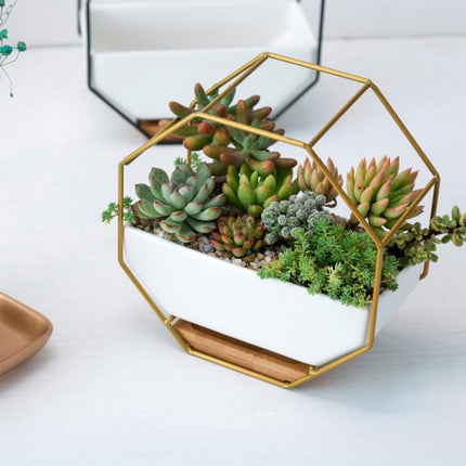 Simple Octagonal Geometric Wall Hanging Table Succulent Platter Bamboo Support Iron Frame Flower Pot(Gold)-garmade.com