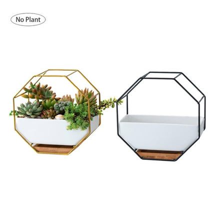 Simple Octagonal Geometric Wall Hanging Table Succulent Platter Bamboo Support Iron Frame Flower Pot(Black)-garmade.com