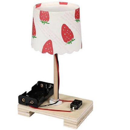 Creative DIY Small Table Lamp Technology Small Production Primary School Students Manual Materials Science Experiment-garmade.com