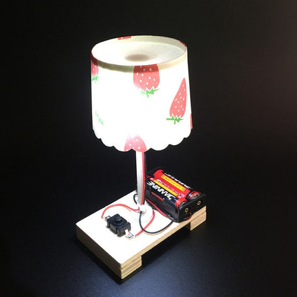 Creative DIY Small Table Lamp Technology Small Production Primary School Students Manual Materials Science Experiment-garmade.com