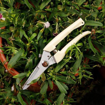 2 PCS Garden Tools Stainless Steel Pruning Shears Fruit Tree Scissors Garden Branch Shears(Straight)-garmade.com