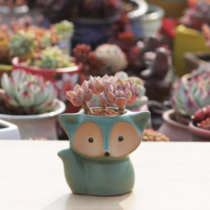 Ceramic Fleshy Flower Pot Succulent Thumb Pot Fox Flower Pot, Random Color Delivery (Without Plants)-garmade.com
