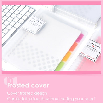 Loose-leaf Notebook Rainbow Cookie Daily Plan Personal Diary Notebook, Size:A4(Transparent)-garmade.com