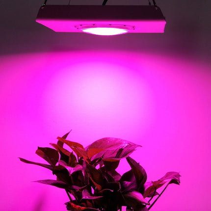 50W Plant Growth Light Ultra-Thin High-Brightness Full-Spectrum COB Indoor Greenhouse Light With Plug, Specification:EU Plug-garmade.com