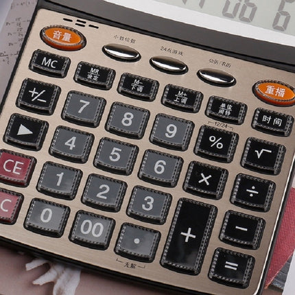 Deli 1559N Live Voice Calculator Multifunctional Office Finance 12-bit Calculator-garmade.com