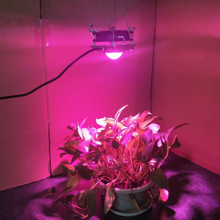 COB Plant Growth Light LED Vegetable Planting Succulent Light, Light:Full Spectrum(US Plug 110V)-garmade.com