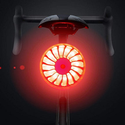 Bicycle Smart Sensor Brake Light USB Tail Light Warning Light(Red)-garmade.com