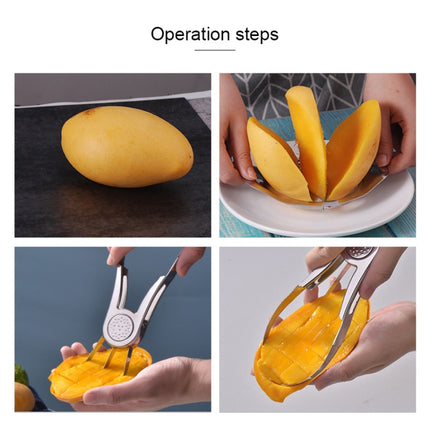 Mango Slicer Mango Core & Peeler-garmade.com