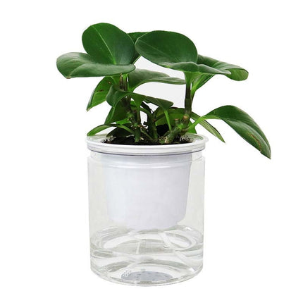 Automatic Water Absorption Hydroponic Pot Succulent Plant Flower Pot, Style:Transparent Without Words-garmade.com