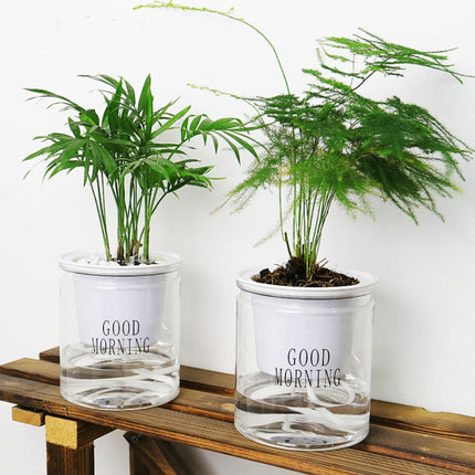 Automatic Water Absorption Hydroponic Pot Succulent Plant Flower Pot, Style:Transparent Without Words-garmade.com