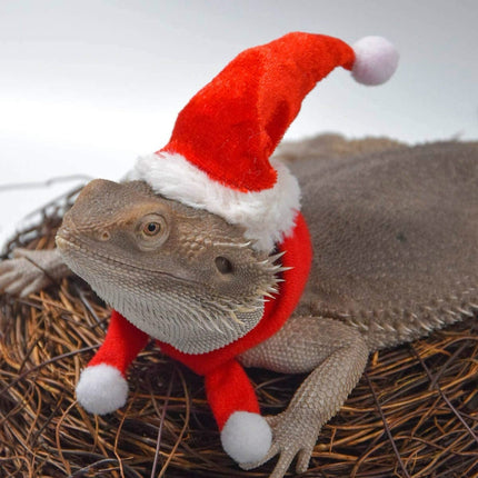 Lizard Crawling Pet Out Christmas Dress Up, Specification: Hat+Scarf-garmade.com
