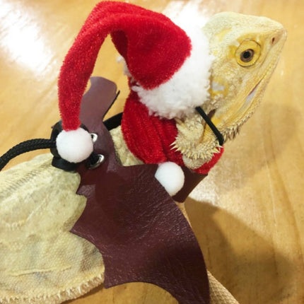 Lizard Crawling Pet Out Christmas Dress Up, Specification: Hat+Scarf+Traction Rope-garmade.com
