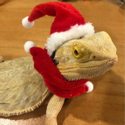 Lizard Crawling Pet Out Christmas Dress Up, Specification: Hat+Scarf+Traction Rope-garmade.com