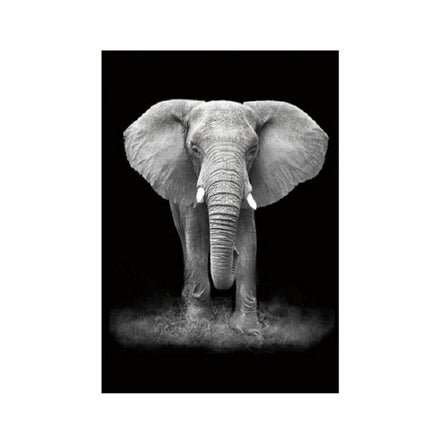 Simple Black and White Animal Decoration Painting Study Living Room Sofa Background Wall Painting Without Frame, Size:21X30cm(Elephant)-garmade.com
