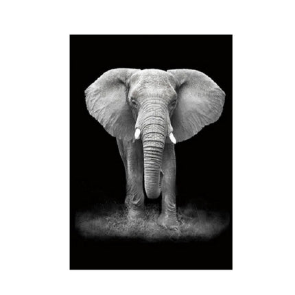 Simple Black and White Animal Decoration Painting Study Living Room Sofa Background Wall Painting Without Frame, Size:40X50cm(Elephant)-garmade.com