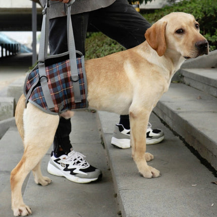 Pet Leg Straps Disabled & Injured Elderly Dog Auxiliary Belt, Size: L, Style:Hind Leg(Blue)-garmade.com