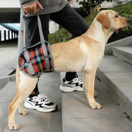 Pet Leg Straps Disabled & Injured Elderly Dog Auxiliary Belt, Size: L, Style:Hind Leg(Orange)-garmade.com