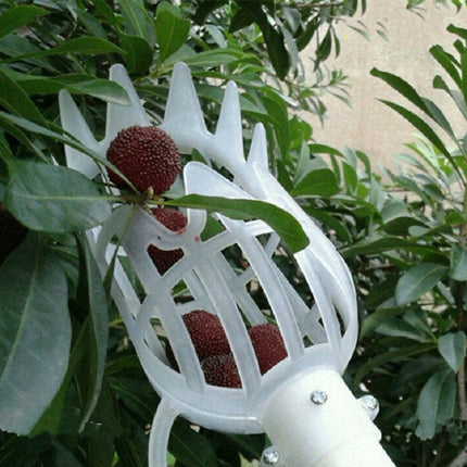 Plum Date Apricot Pick Fruit Plastic Tool(White)-garmade.com