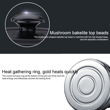 Beam Lifting Pot for Alcohol Stove Tea House Teapot Stainless Steel Exquisite Pot-garmade.com