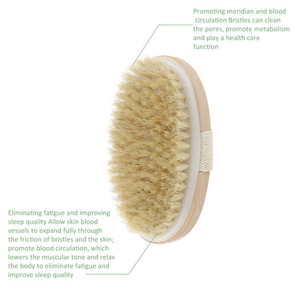 Soft Natural Bristle SPA Brush Without Handle-garmade.com