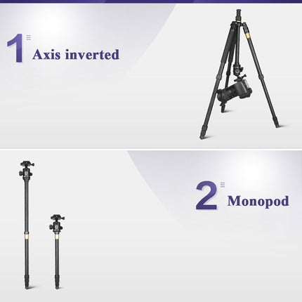 Q222 Portable 4-Section Folding Legs Aluminum Alloy Tripod Mount Monopod Holder with Ball Heads-garmade.com