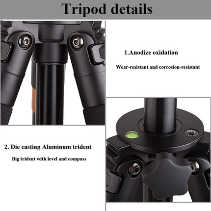 Q620 4-Section Folding Legs Heavy Duty Aluminum Alloy Tripod With Three-Dimensional Damping Tripod Heads-garmade.com