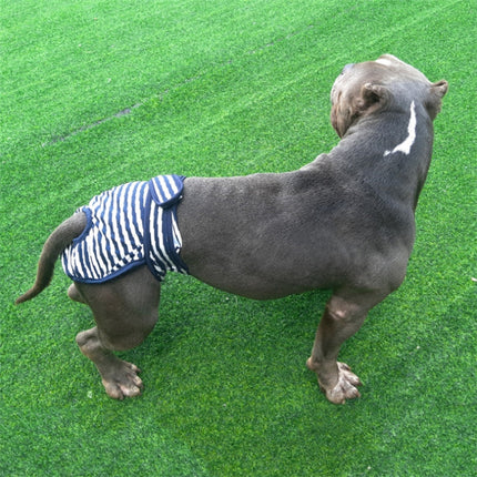 2 PCS Pet Striped Physiological Pants Dog Menstrual Pants, Size: S(Blue)-garmade.com