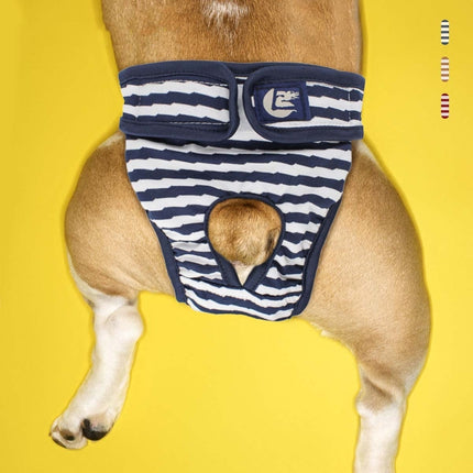 2 PCS Pet Striped Physiological Pants Dog Menstrual Pants, Size: L(Blue)-garmade.com