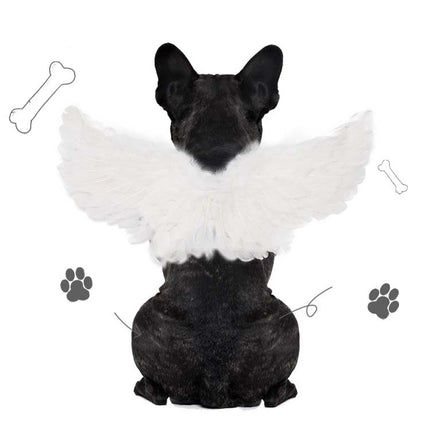Pet Christmas Halloween Feather Wings Devil And Angel Holiday Makeup, Specification: S(White)-garmade.com