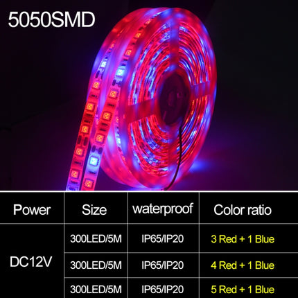 5m 300 LEDs SMD 5050 Full Spectrum LED Strip Light Fitolampy Grow Lights for Greenhouse Hydroponic Plant Waterproof(5 Red 1 Blue)-garmade.com