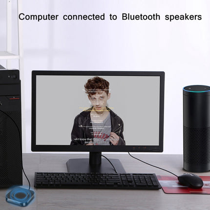 BT-13 2 In 1 Bluetooth 5.0 Adapter Wireless Audio Receiver & Transmitter-garmade.com