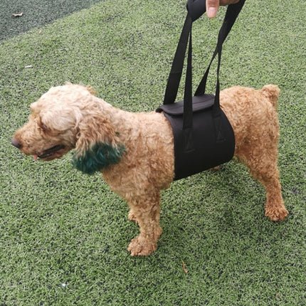 HCPET F1905 Disabled Dogs Assistive Belts Elderly Dogs Walking Assisted Leashes Pet Supplies, Size: S(Black)-garmade.com