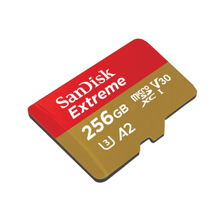 SanDisk U3 High-Speed Micro SD Card TF Card Memory Card for GoPro Sports Camera, Drone, Monitoring 256GB(A2), Colour: Gold Card-garmade.com