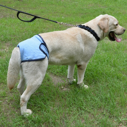 Pet Physiological Pants Large Medium & Small Dogs Anti-Harassment Safety Pants, Size: XL(Blue)-garmade.com