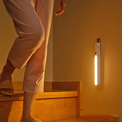 ZXD-01 Intelligent Human Body Induction Night Light LED Aisle Window Wall Light(White)-garmade.com