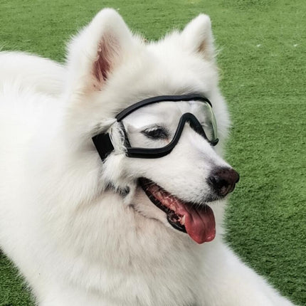 Pet Goggles Dog Transparent Glasses Waterproof Windproof Snow Goggles Dog Glasses(Transparent)-garmade.com