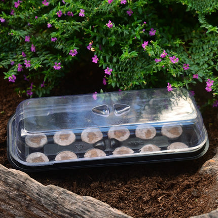 4 PCS 2 In 1 Breeding Seedling Tray Gardening Seeding Box-garmade.com