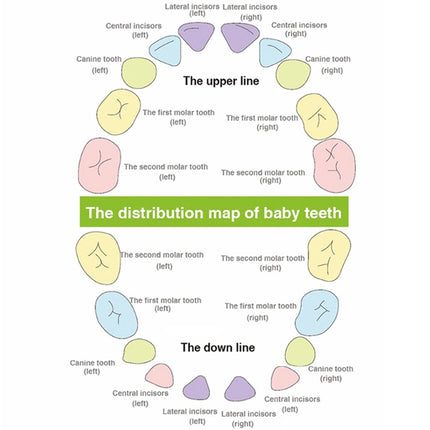 3 PCS Wood Baby Teeth Box Organizer Milk Teeth Storage Box, Language:French(Boy)-garmade.com