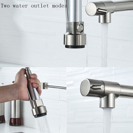 Copper And Nickel Brushed Double Outlet Spring Faucet Rotatable Kitchen Hot And Cold Water Faucet, Specification: Brushed-garmade.com