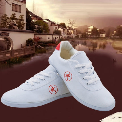 Tai Chi Martial Arts Taekwondo Performance Shoes Tendon Sole Sneakers, Size: 27/170(White)-garmade.com