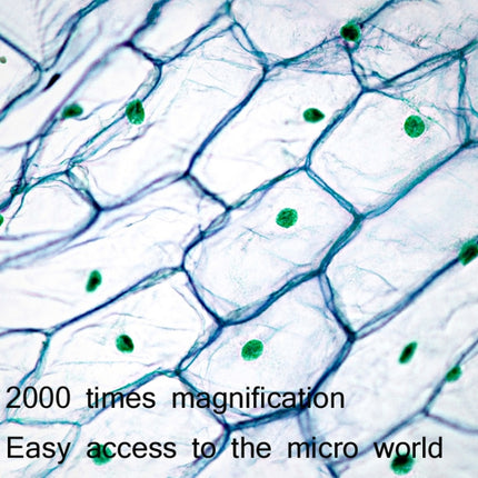 2000X WIFI High Magnification Biological Microscope USB HD Digital Magnifying Glass-garmade.com