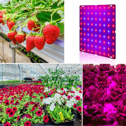 LED Plant Growth Lamp Red Blue Spectrum Flower Fill Light Planting Lamp Room Quantum Plate Plant Light, Power: 81 Beads EU Plug-garmade.com