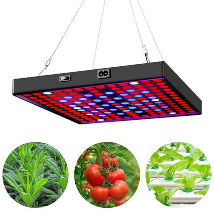 LED Plant Light Quantum Board Greenhouse Seedling Plant Growth Supplementary Light Full Spectrum Plant Planting Light, Power: 169 Beads US Plug-garmade.com