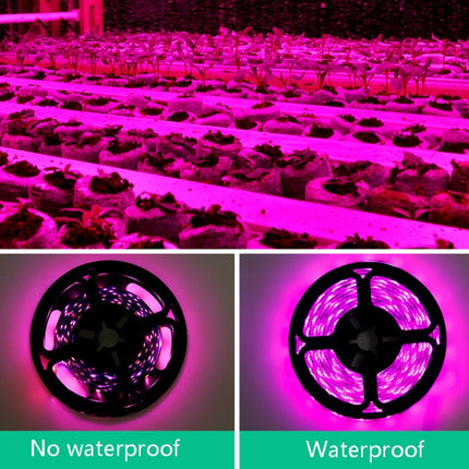 2m Waterproof Plant Light Strip LED Planting Filling Light USB Indoor 2835SMD Plant Growth Lamp-garmade.com